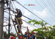 Petugas PLN Tersengat Listrik Saat Pemasangan Jaringan, Alami Luka Bakar Serius