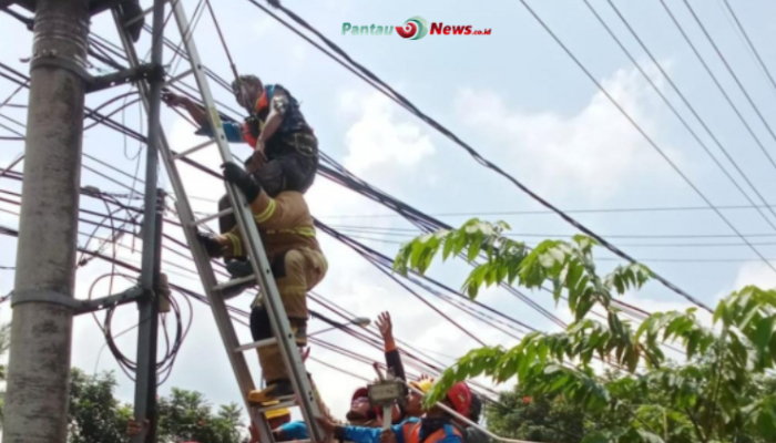 Petugas PLN Tersengat Listrik Saat Pemasangan Jaringan, Alami Luka Bakar Serius