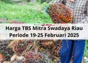 Harga TBS Kelapa Sawit Mitra Swadaya Riau Periode 19-25 Februari 2025 Naik