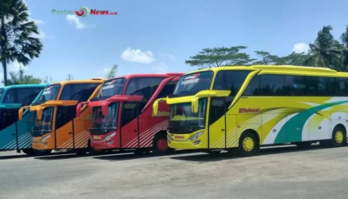 Waspadai Bus Pariwisata Bodong saat Mudik!