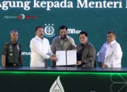 Kejagung Serahkan Lahan Sawit ke Kementerian BUMN!