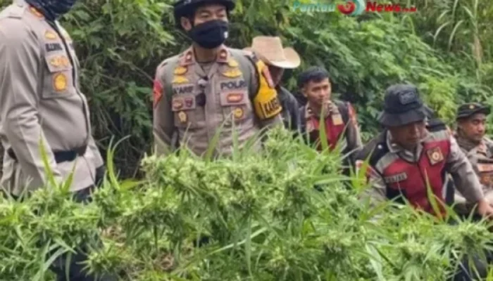 Penemuan Ladang Ganda Di Bromo, Ini Faktanya!