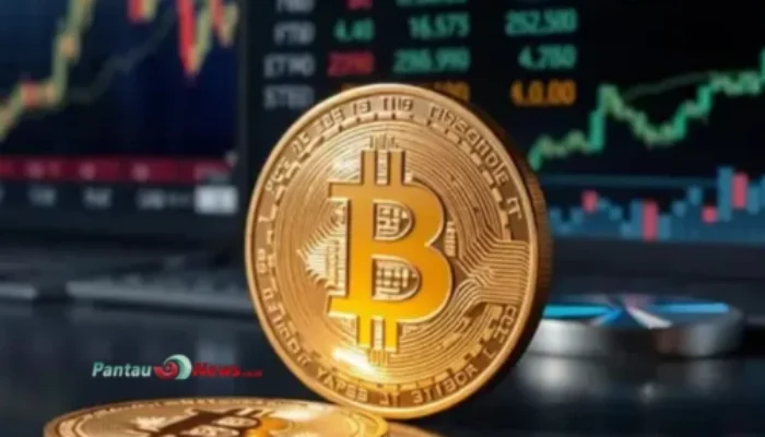 Harga Bitcoin Tembus 100.000 Dollar, Simak Penyebabnya!