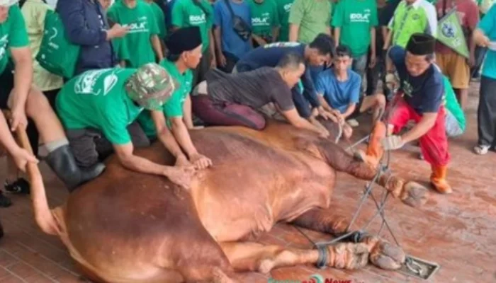 Daging Kurban Prabowo-Gibran Disajikan untuk Makan Bergizi 2.000 Anak Yatim di Masjid Istiqlal
