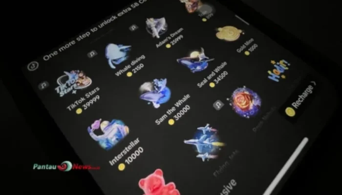 Gift Paus di TikTok Berapa Rupiah? Ini Rincian Harganya di 2025