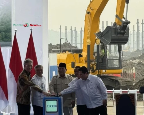RI Nego China untuk Tambah Saham di Proyek Baterai Raksasa