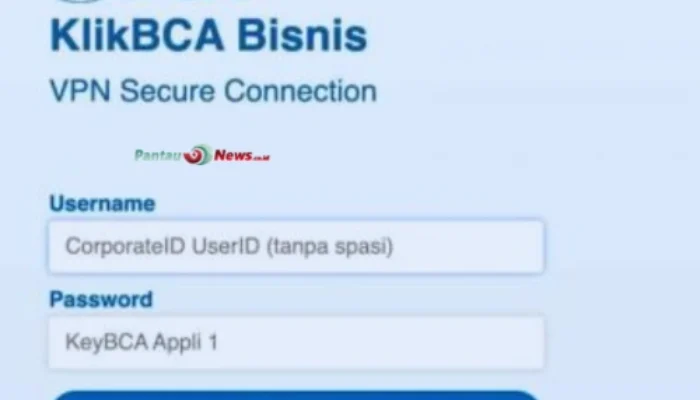 Tips Aman Pakai VPN KlikBCA Bisnis untuk Transaksi Super Cepat