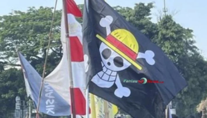 Jolly Roger Mengguncang! DPR Curiga Bendera One Piece Picu Perpecahan