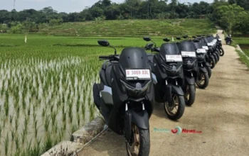 Viral! Ratusan Yamaha NMax Dijual Murah Tanpa Dokumen di Medan, Polisi Buka Suara